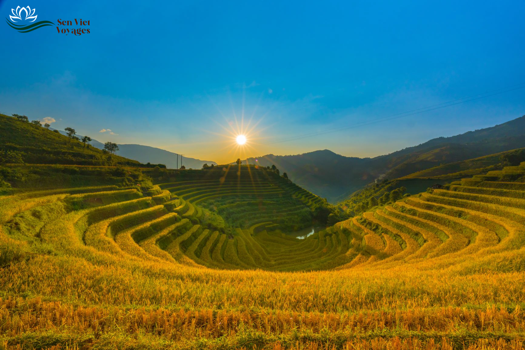 Viet Nam