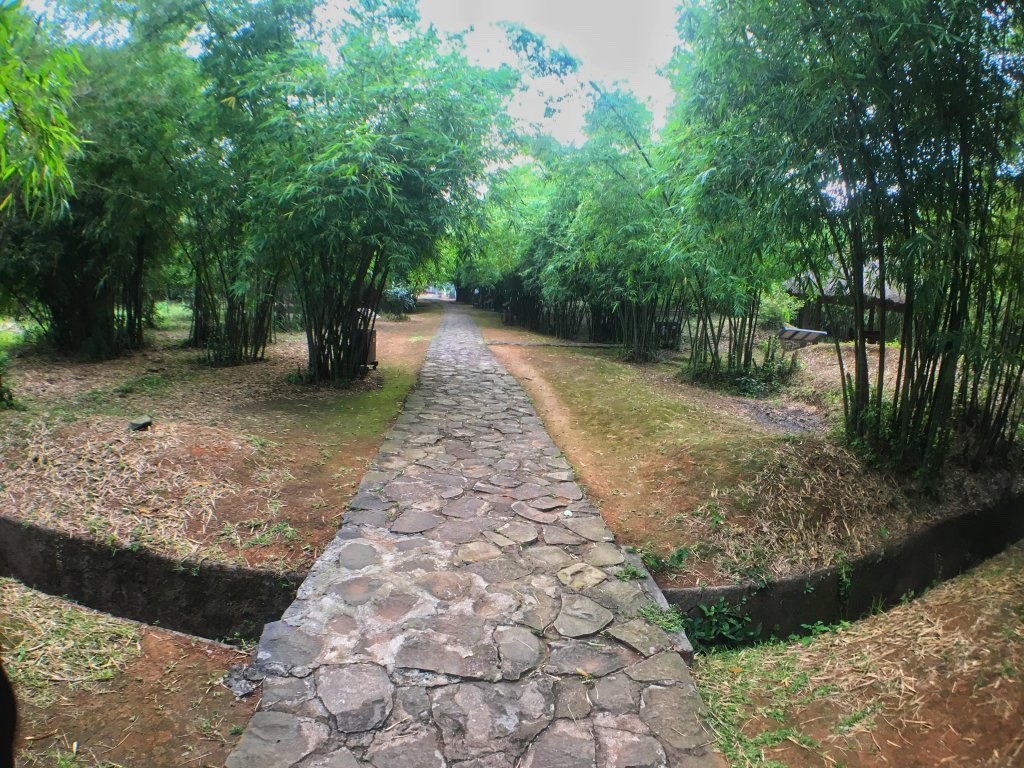 DONG HOI - TUNNELS VINH MOC – HUE (voiture, guide)