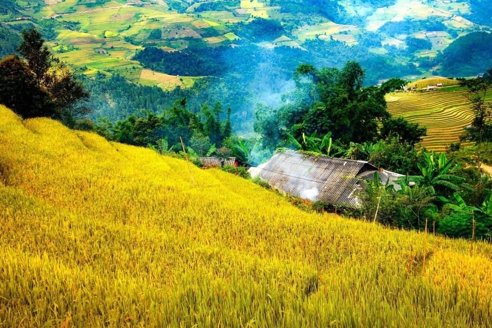 TU LE, LA VALLÉE DU “BATAILLON BIGEARD”