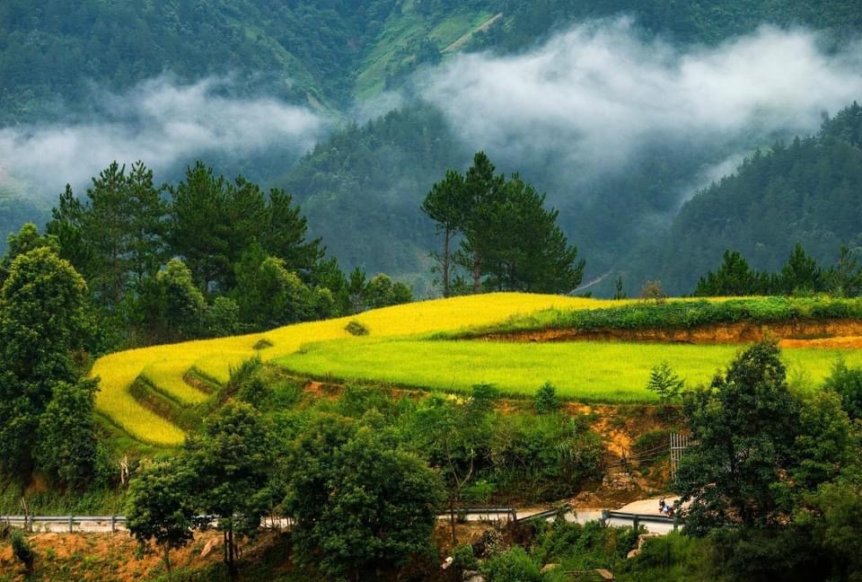 RANDONNÉE DANS LA VALLÉE PIENG LAO – SAPA (voiture, guide)