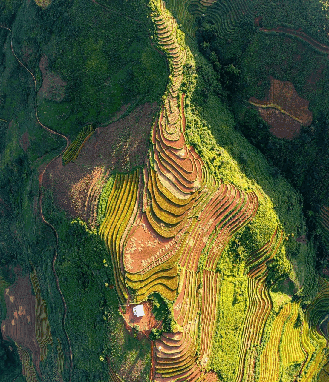 HANOÏ - SAPA (voiture, guide)