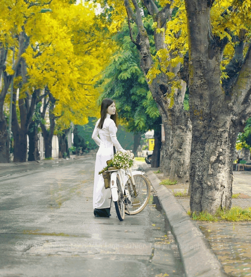 ARRIVÉE À HANOI (voiture, guide)