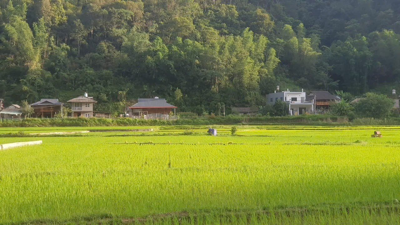 HANOÏ - MAI CHAU (voiture, guide)