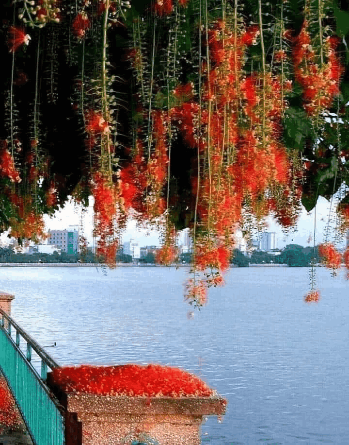 VISITE DE HANOI (voiture, guide) 