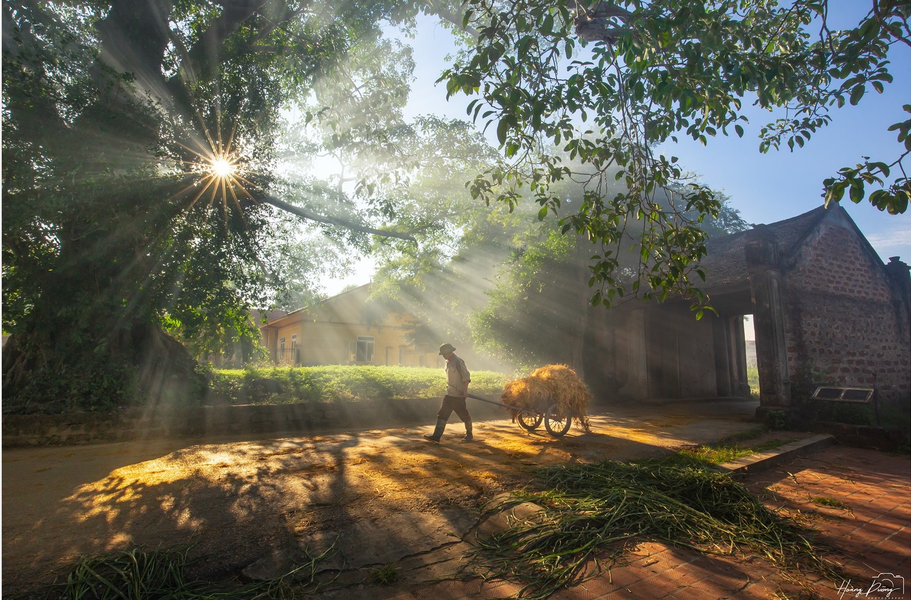 Làng Cổ đường Lâm
