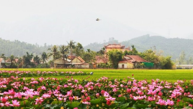 Thap Muoi 770x367