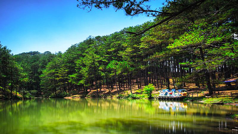 Thung Lung Vang Da Lat