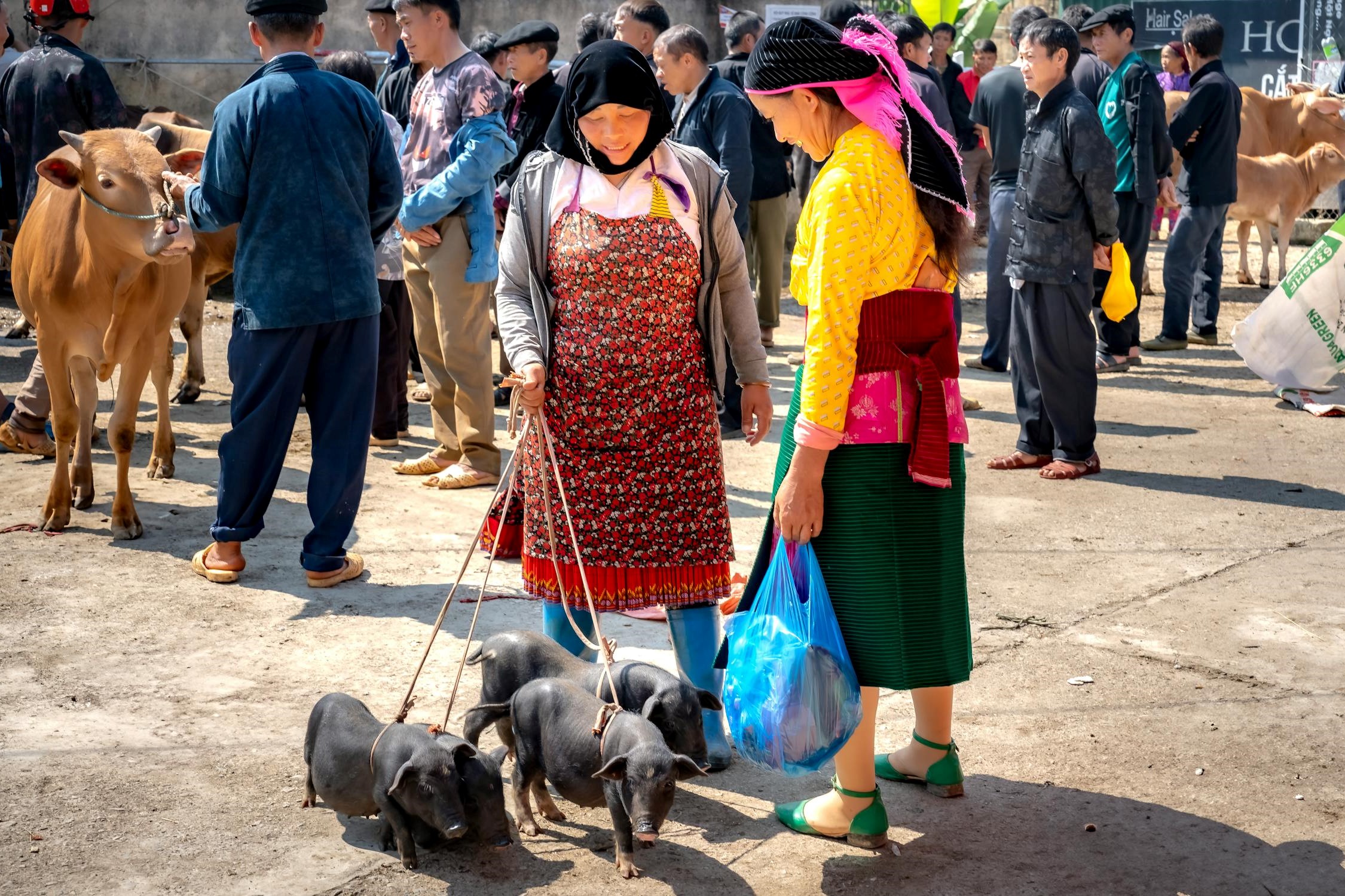 Free Photo Of Lively Traditional Market Scene With Livestock
