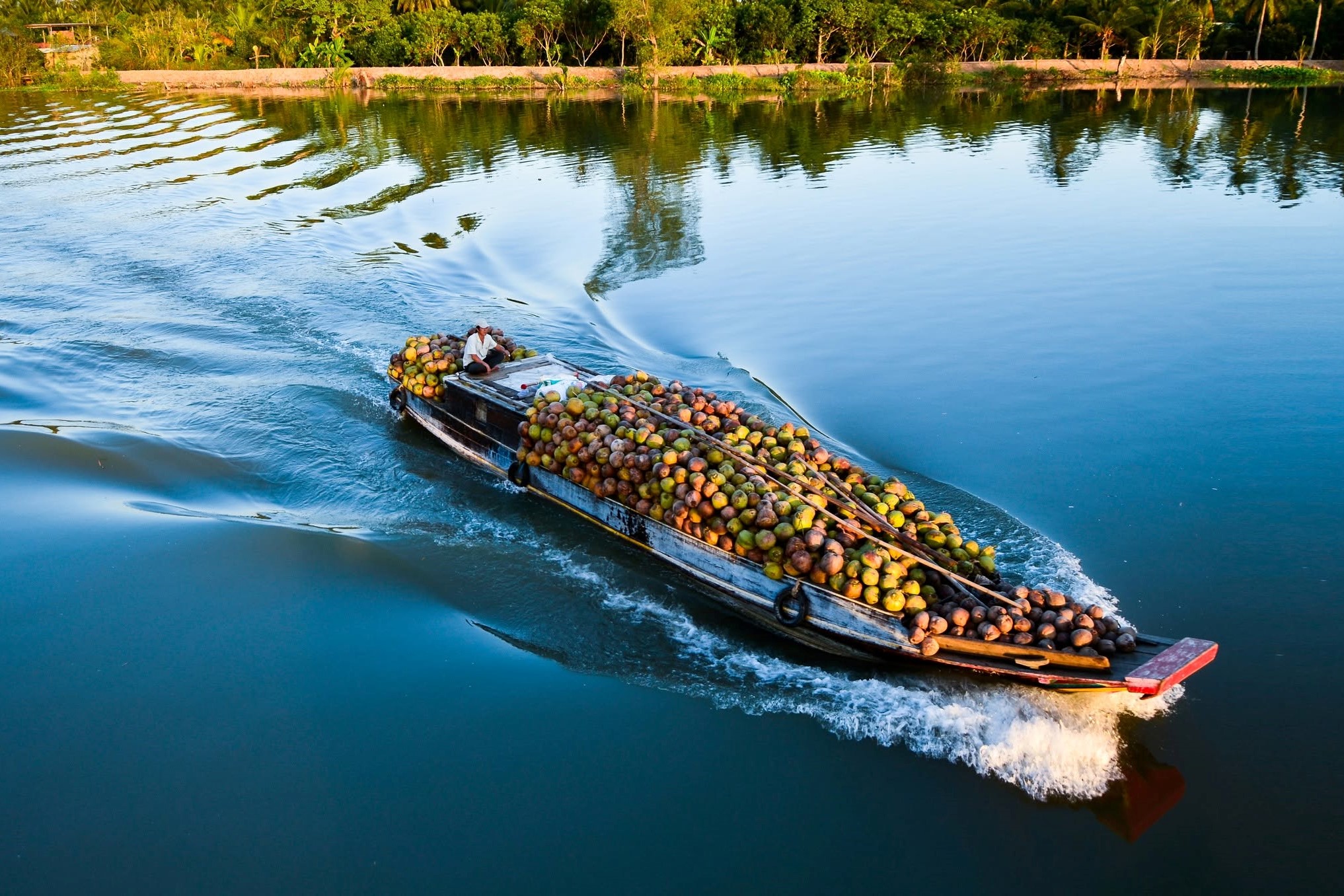 541926426 1279789607491586 7128147890856889543 N