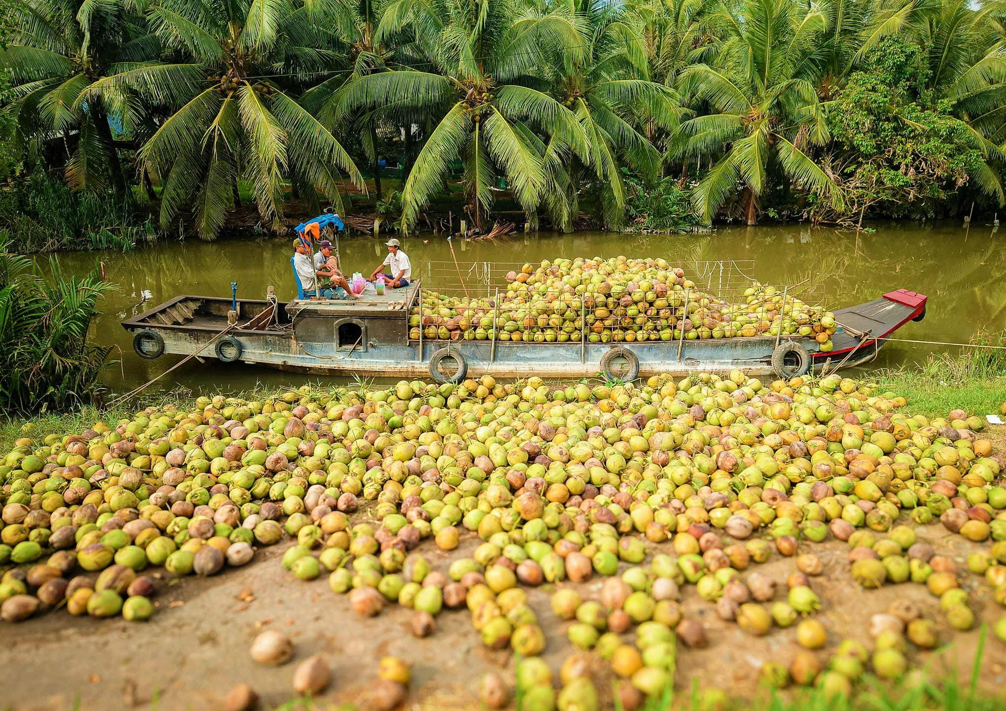 541988965 1279789757491571 6857803859183593926 N