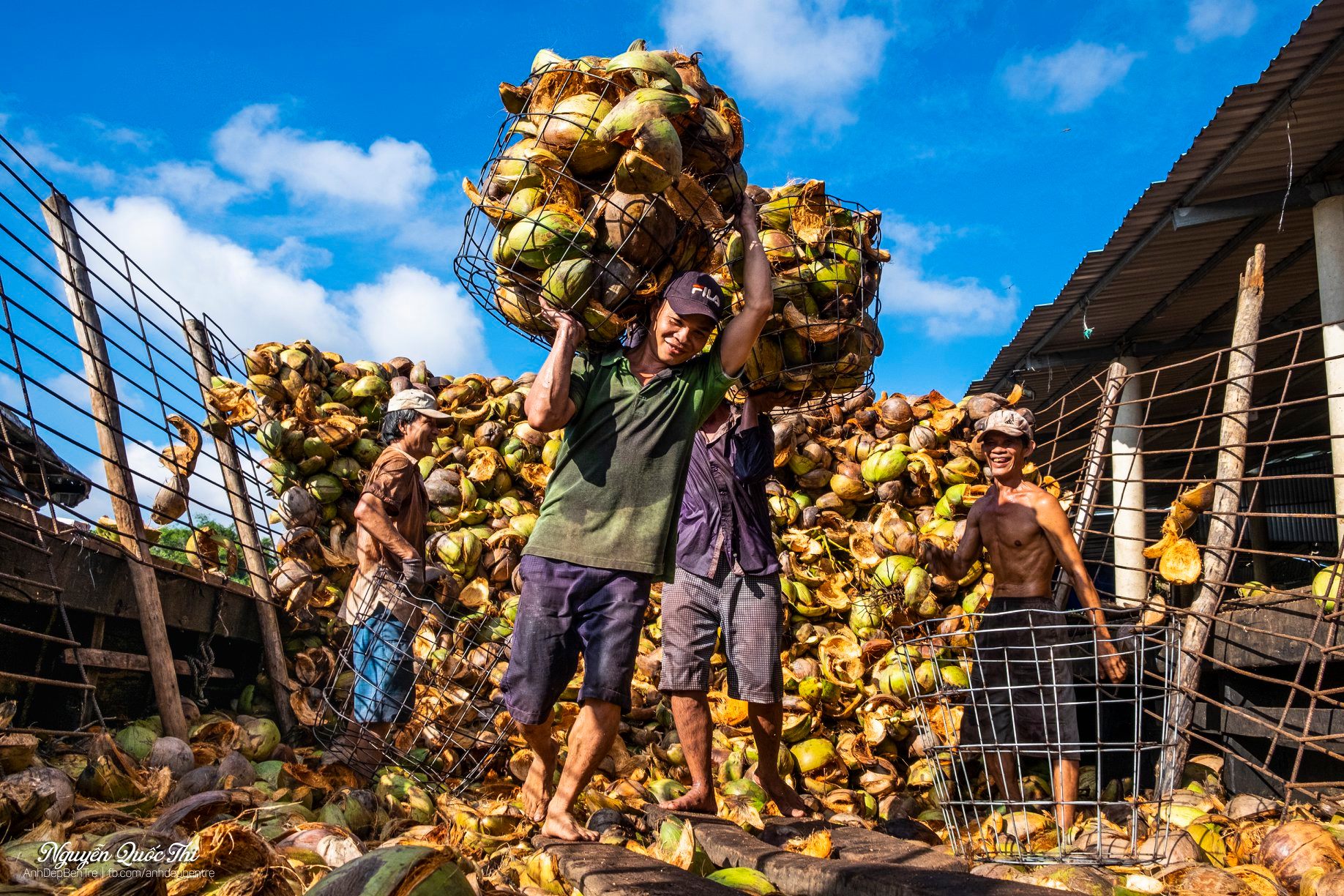 542566823 1279789604158253 3914963794578887033 N